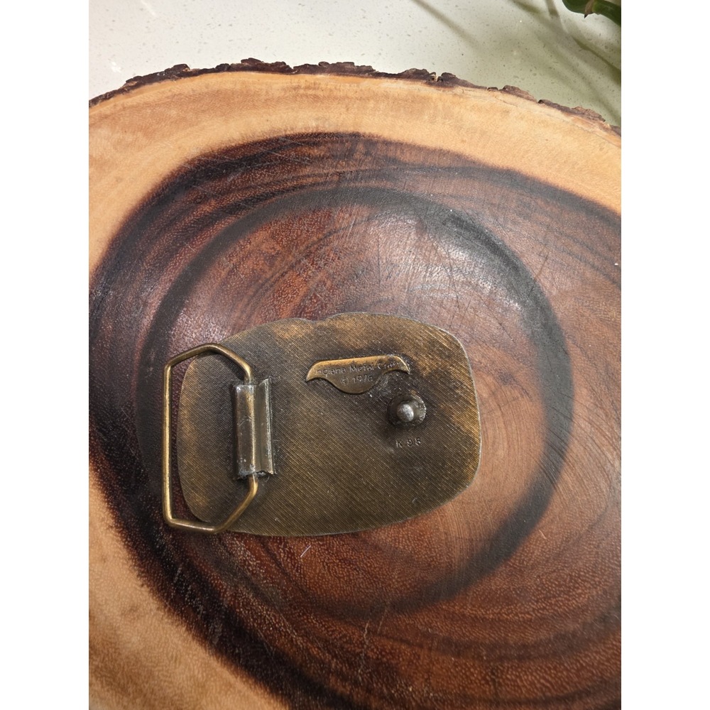 Vintage Belt Buckle - 1976 Country - Picture 11 of 12